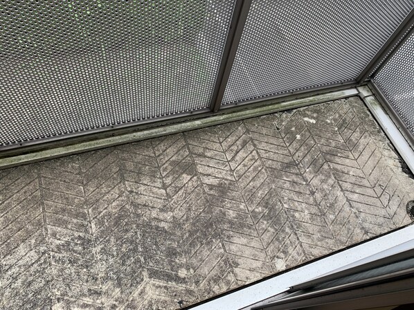 ラフィーネ田寺東の物件内観写真